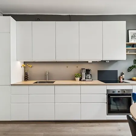 Daire Classic Gem At Grunerlokka *
