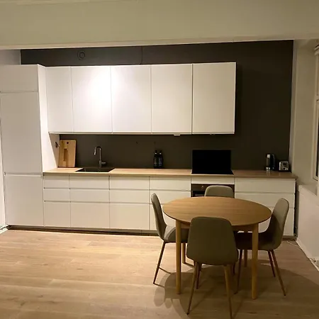 Daire Classic Gem At Grunerlokka Oslo