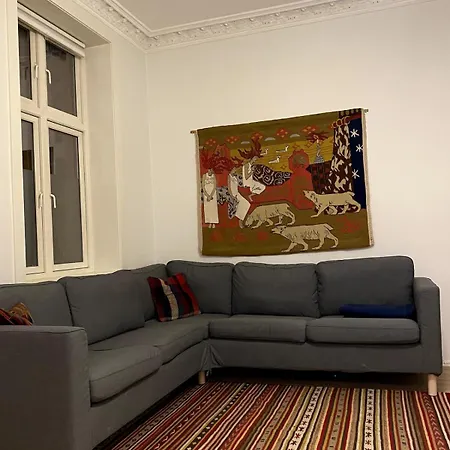 Classic Gem At Grunerlokka Осло